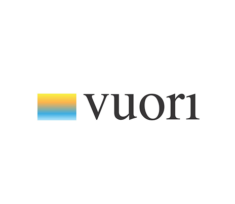Vuori